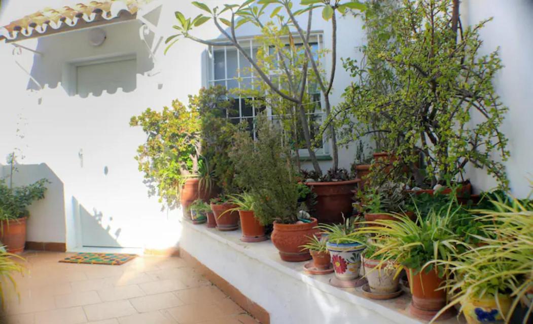 Atico Frente Al Mar - Vistas, Piscina, Terrazas, Parking! Appartement Benalmádena Buitenkant foto